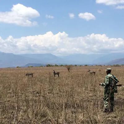 Zebras near Lake Chamo, Ethiopia